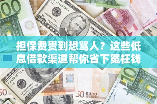 北京担保费贵到想骂人？这些低息借款渠道帮你省下冤枉钱